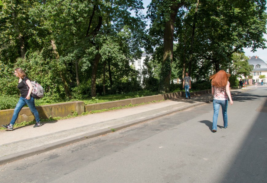 Der zum Herrngarten parallele Teil der Hochschulstraße. Bild: Paul Glogowski